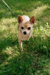 Similar image 22208452