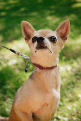 Similar image 22208454