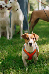 Similar image 22208459