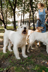 Similar image 22205439