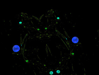 Similar image 22198604