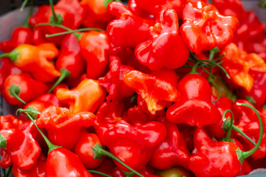 Similar image 22203971