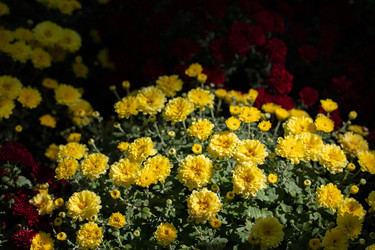 Similar image 22203977