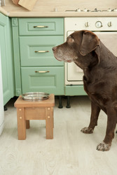 Similar image 22208050