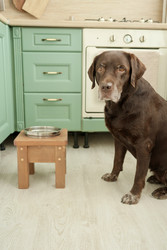 Similar image 22208051