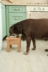 Similar image 22208053