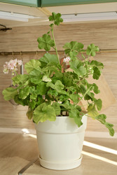 Similar image 22208057