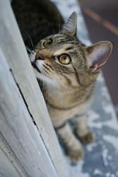 Similar image 22208058