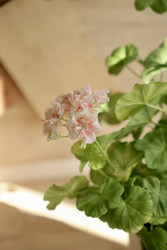 Similar image 22208060