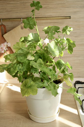 Similar image 22208311