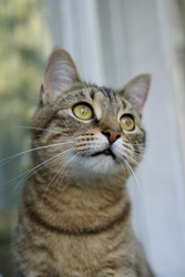 Similar image 22208312