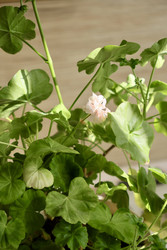 Similar image 22208314