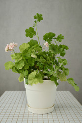 Similar image 22208315