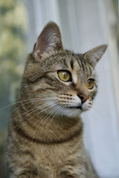 Similar image 22208316