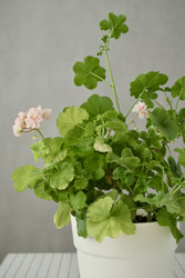 Similar image 22208318