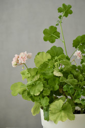 Similar image 22208319