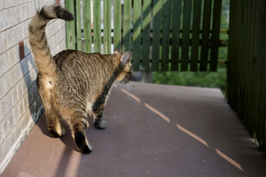 Similar image 22208320