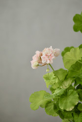 Similar image 22208323