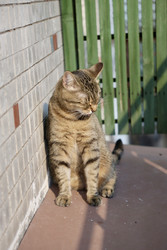 Similar image 22208324