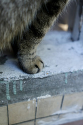 Similar image 22208328