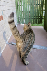 Similar image 22208462