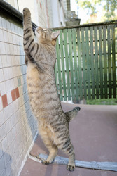 Similar image 22208466