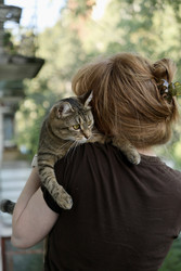 Similar image 22208473