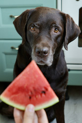 Similar image 22208475