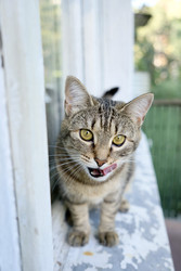 Similar image 22208477