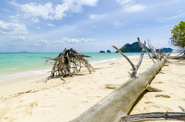 Similar image 22196029