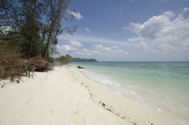 Similar image 22196030