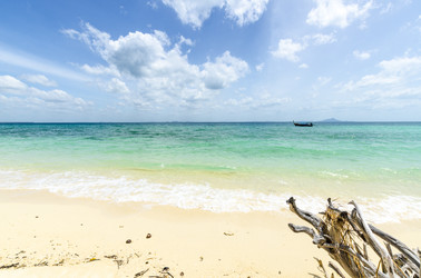 Similar image 22196032