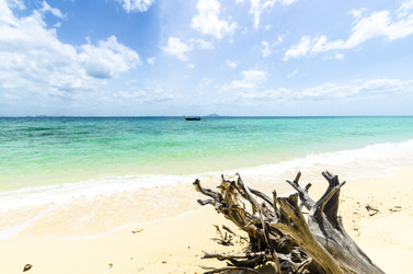 Similar image 22196033