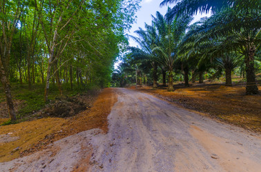 Similar image 22196034