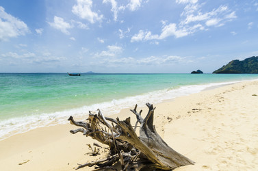 Similar image 22196035