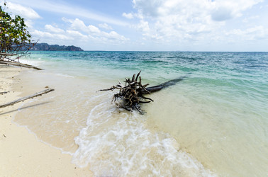 Similar image 22195776