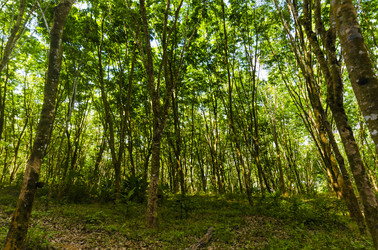 Similar image 22198019