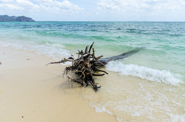 Similar image 22195777