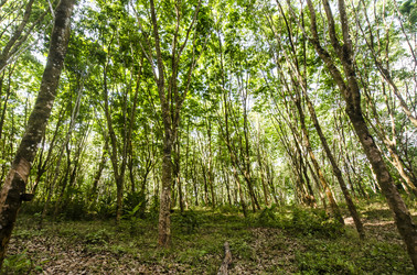 Similar image 22198020