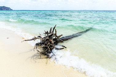 Similar image 22195778