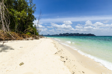 Similar image 22195781