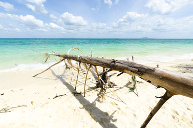 Similar image 22195787