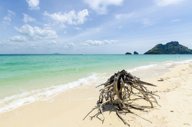 Similar image 22195791