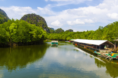 Similar image 22195796