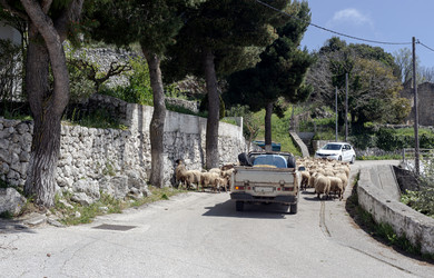 Similar image 22200527