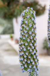 Similar image 22200530