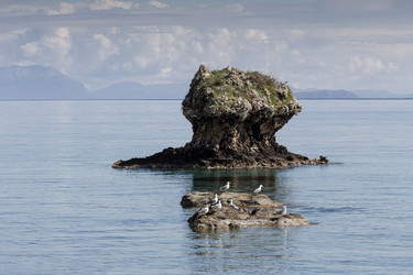 Similar image 22200531