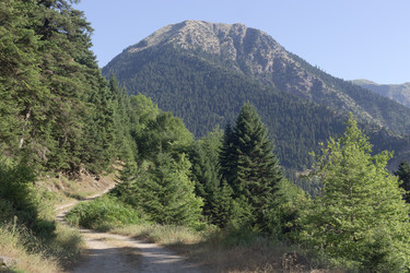 Similar image 22196126