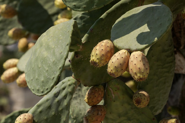 Similar image 22196127