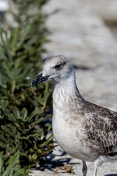 Similar image 22196128